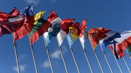 Decizie importantă a Consiliului Europei pentru România Consiliul Europei solicită o anchetă, scuze oficiale și despăgubiri pentru supraviețuitorii abuzurilor din copilărie în orfelinatele din România