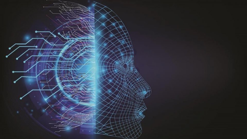 Laboratorul de neurostiinte - Cum influențează activitatea fizica și somnul funcționarea creierului?