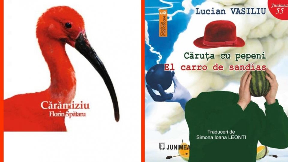 Confluențe - Cărți, autori, dezbateri