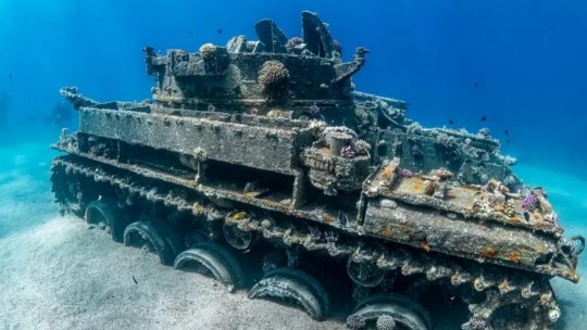 Recifii artificiali, noi orașe pe fundul mării | PODCAST