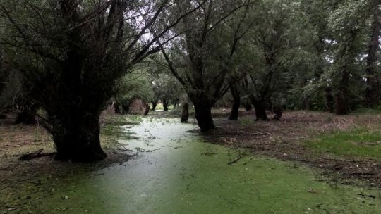 Luncavița: din inima unui univers lacustru la realitățile aride ale prezentului