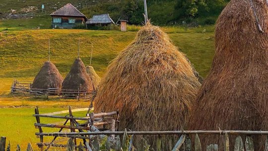 Cronicari digitali. Spune-mi unde sunt. Țara Hațegului - Călătorie printre legende, dinozauri și peisaje de poveste