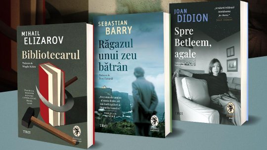 Noutăți ANANSI: prima carte de nonficțiune a lui Joan Dididon, cel mai recent roman al lui Sebastian Barry și traducerea în premieră a lui Mihail Elizarov