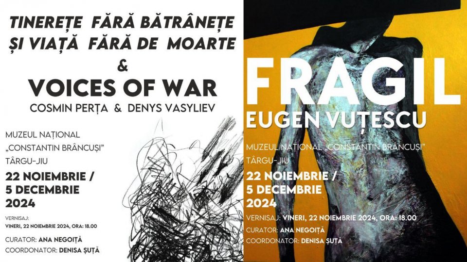 Expoziții semnate de Cosmin Perța și Eugen Vuțescu, din 22 noiembrie la Muzeul Național „Constantin Brâncuși” din Târgu Jiu