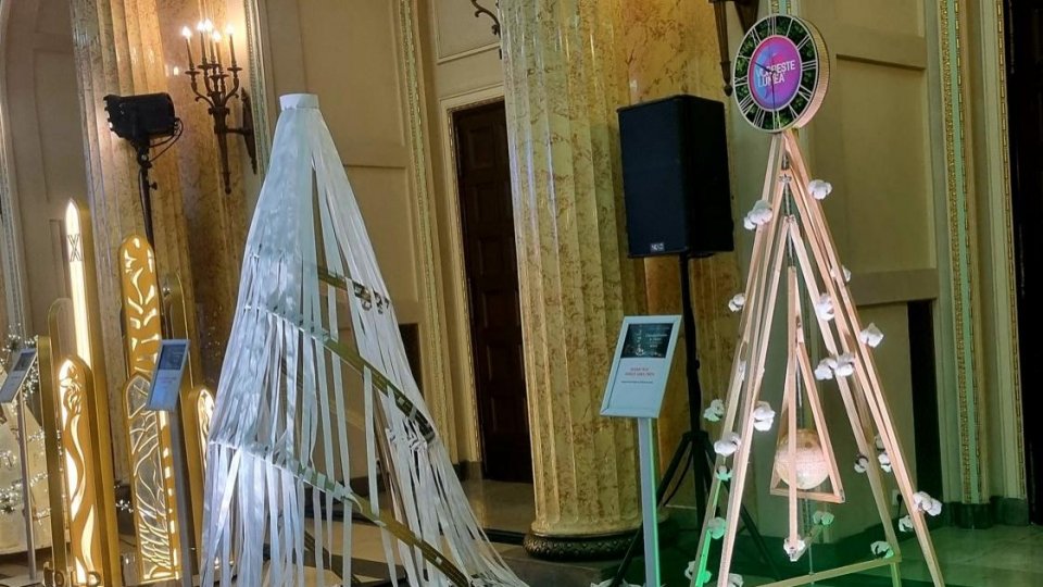 Festivalul Brazilor de Crăciun, dedicat accesului egal la educație