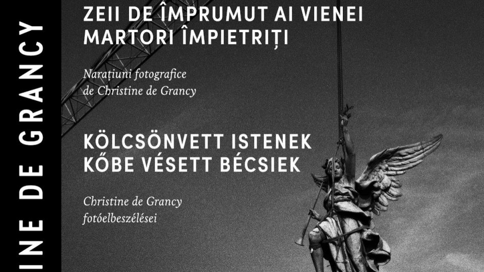 Forumul Cultural Austriac  și „agenda culturală pentru străinătate“ a Austriei