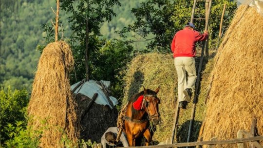 Reinventarea satului în proiectul „9 Monografii audio-vizuale”