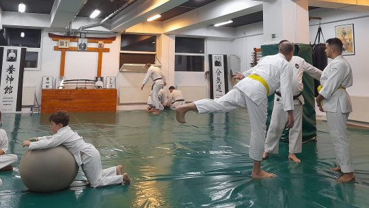 Sensei George Ilie: “Prin mişcare, lucrăm corpul şi mintea. Acestea două fiind mulţumite, ne adresăm şi spiritului”