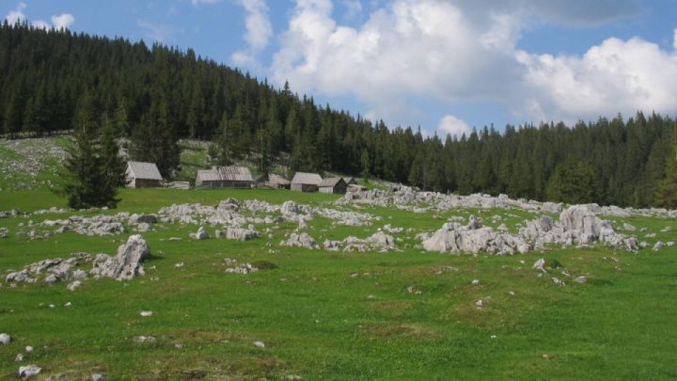 Repere culturale europene - Ecomuseo Adda di Leonardo şi Ecomuzeul Ţării Moţilor