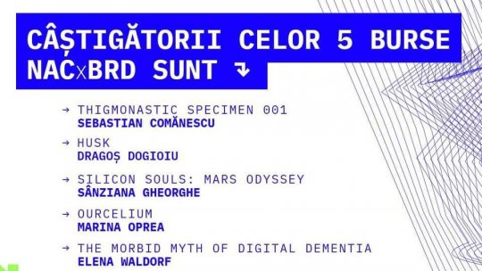 Neo Art Connect anunță câștigătorii Programului de Burse și Mentorat în valoare de 5000 de Euro