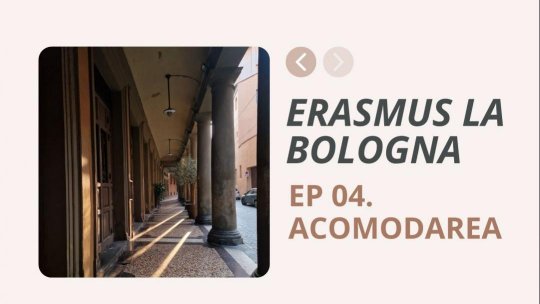 Episodul 4. Acomodarea din primele zile
