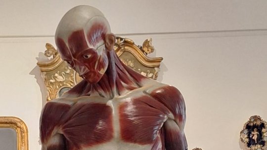 „Ecorșeul” lui Brâncuși rămâne la Muzeul Național de Artă Timișoara până în anul 2025