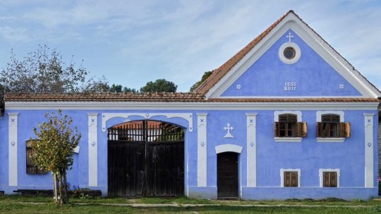 Șona AIR - Artiști în rezidență în Casa Albastră | PODCAST