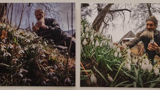 Lector univ. dr. Reka Csapo Dup: “Fotografiile lui Ádám Gyula au aura unui film în cadre”