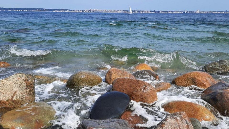 Daniela Rei Vișan în dialog cu Ovidiu Popa-Velea