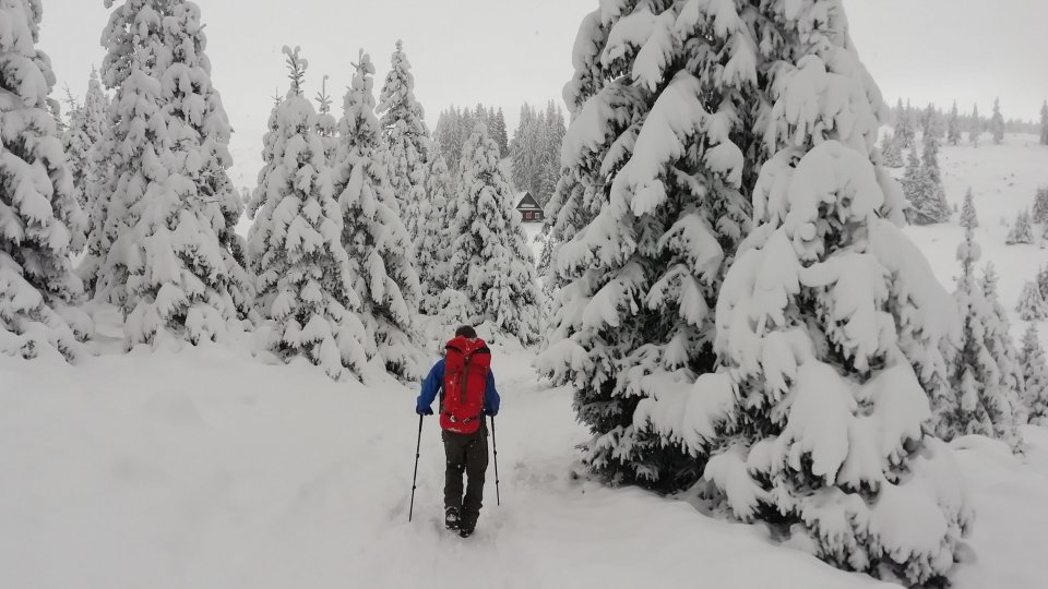 Adrian Șerban: „Eu cred că simularea bacalaureatului este binevenită și ar trebui păstrată” | PODCAST