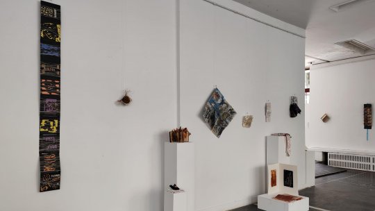 Artista Daniela Frumuşeanu - „În cartea-obiect nu există limitări, numai grafică, numai pictură, numai textile...”