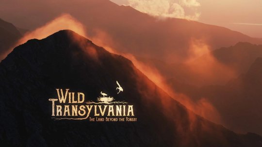 Prima ediție a festivalului de fotografie și film documentar, dedicat exclusiv naturii, a fost sold-out