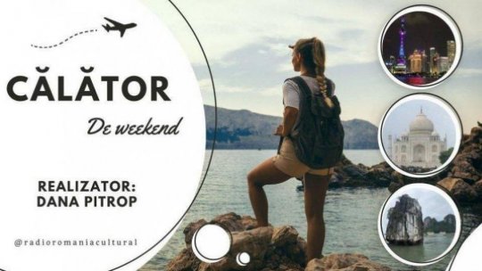 Hoa Hakananai'a – statuia moai de la British Museum