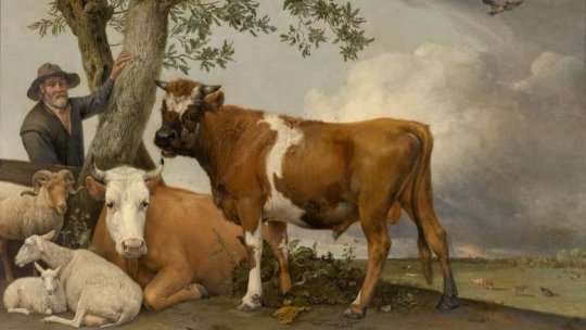 Ilustrată din Amsterdam - Restaurarea cu public, o tradiție în muzeul Mauritshuis