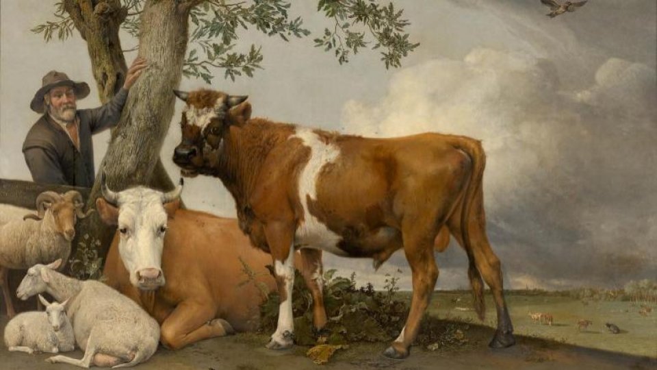 Ilustrată din Amsterdam - Restaurarea cu public, o tradiție în muzeul Mauritshuis