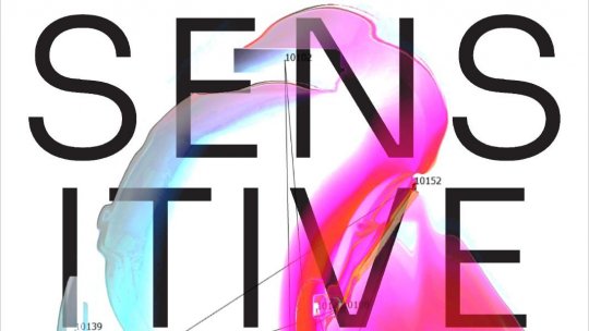 SENSITIVE DATA - O explorare afectivă a datelor despre București