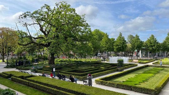 Ilustrată din Amsterdam - 13 iunie – Outdoor Office Day/ Ziua de lucru în natură