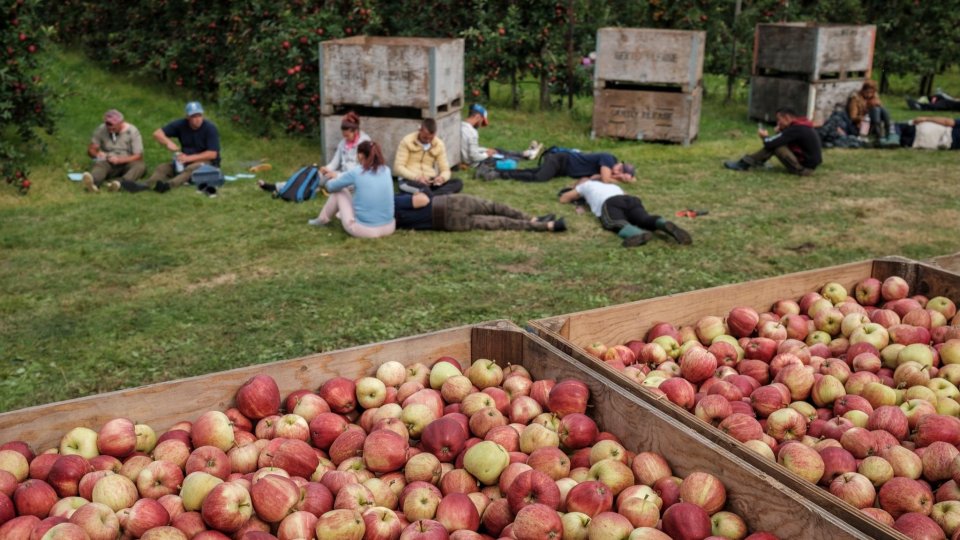 Pentru sezonieri, migrația este o corvoadă, nu o alegere