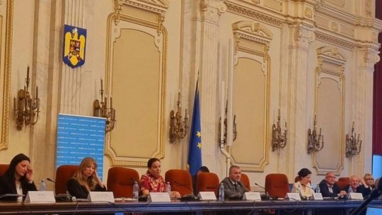 Consultații: Servicii și soluții prietenoase pentru copiii cu dizabilități