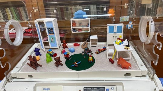 Incubatorul - „Camera cea mai mică” pentru un copil