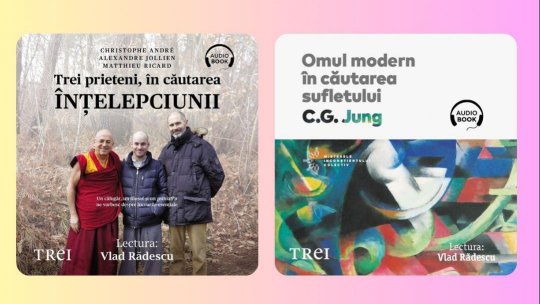 În căutarea sensului | PODCAST