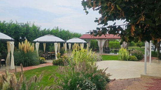 Arta la vedere -Bohème  d’ art!