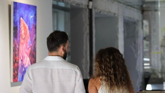 Arta invadează orașul: Meron Gallery și Dimensional X Studios prezintă o campanie inedită în promovarea artei prin CGI