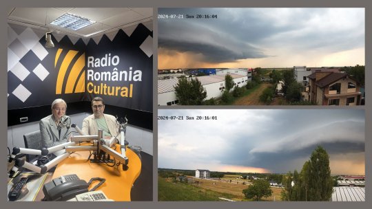 Știința din spatele metaforei ”în bătaia vântului”