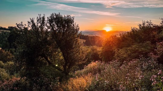 Cronicari digitali. Spune-mi unde sunt - Gărâna, tărâmul artei, tradiției și deliciilor culinare