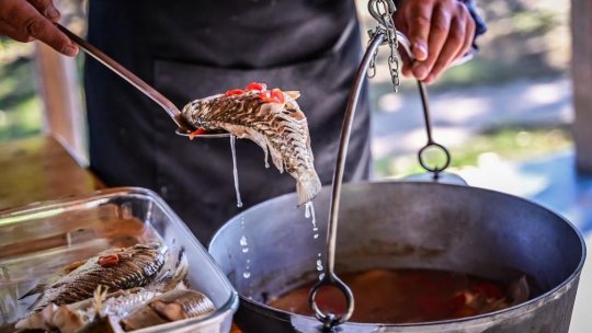 Cronicari digitali. Spune-mi unde sunt - Delta Dunării, locul unde natura și tradiția se întâlnesc într-o lume de poveste