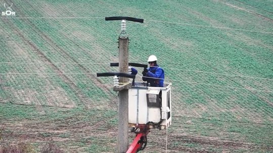 Linii electrice sigure pentru păsările din Dobrogea