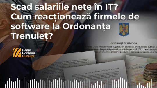 Ideile Hacking Work 103. Scad salariile nete în IT? Cum reacționează firmele de software la Ordonanța Trenuleț?