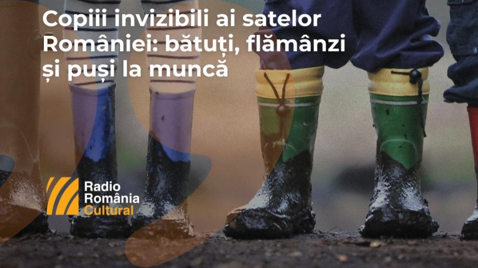 104 Ideile Hacking Work. Copiii invizibili ai satelor României: bătuți, flămânzi și puși la muncă