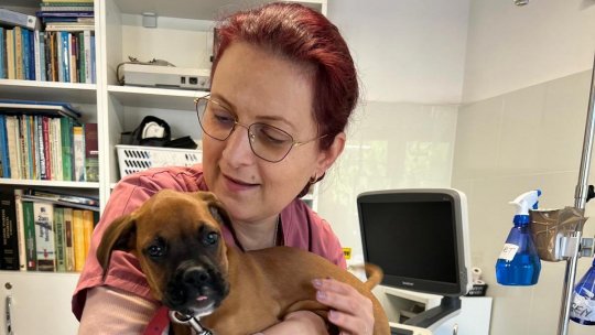 Otilia Ruxandra Cristea: „Nu mă văd făcând altceva decât medicină veterinară. Și nu știu dacă o să mă pot retrage”
