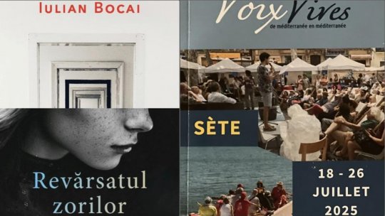 Romanul, teorie și practică. Poezie în festival