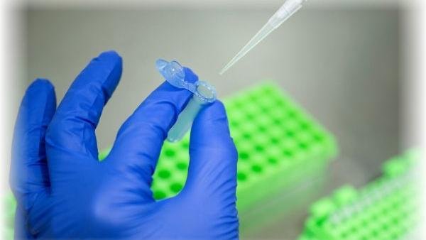 Editarea embrionară(genetică): un drum pavat cu bune intenții