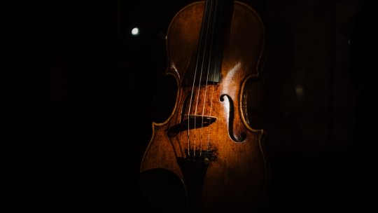 Concertul de Anul Nou de la Viena 2026, difuzat în direct la Radio România Cultural