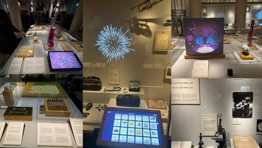 Hanna Stjärne: Premiile Nobel pun în lumină realizări care sunt importante pentru noi toți!