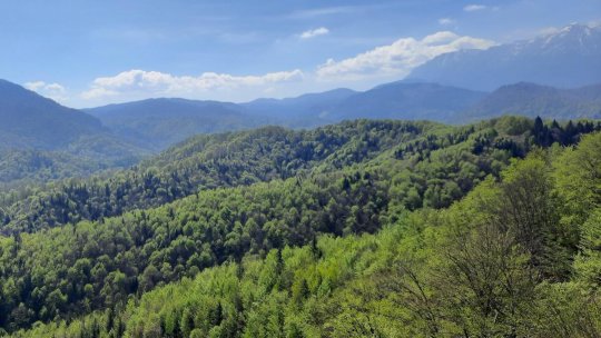 Protejarea patrimoniului natural - o prioritate naţională