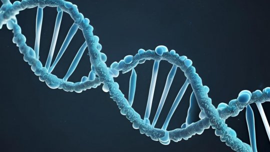 A fost publicat cel mai mare studiu dedicat geneticii bolii bipolare