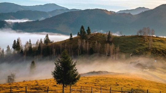 Cronicari digitali. Spune-mi unde sunt. Letea, Fundata, Bucovina și dincolo de ele: Călătorii prin obiectivul unui fotograf