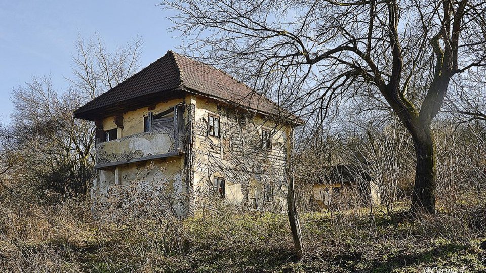 Salvarea ultimei cule de lemn din Gorj: O misiune de suflet pentru Ambulanța pentru Monumente