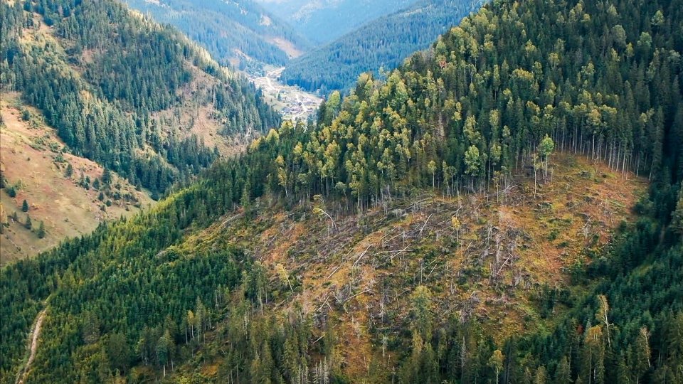 „După Cioate” - documentarul românesc despre curajul activismului de mediu, selectat în competiția Festivalului de Film de la Cracovia