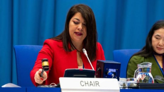 România a preluat președinția Subcomitetului Științific și Tehnic al Comitetului ONU pentru Utilizarea Pașnică a Spațiului Extra-atmosferic
